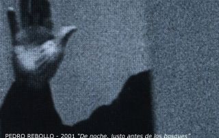 1 PEDRO REBOLLO 2001