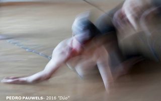 11_ PEDRO PAUWELS