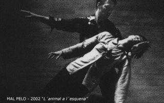 13__ MAL PELO 2002