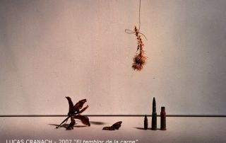 17 – LUCAS CRANACH – 2007