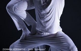 22_ ZIOMARA HORMAETXE_ 2016 Symbiosis