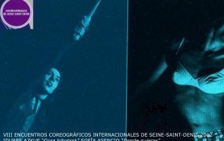 23_3 – ENCUENTROS COREOGRAFICOS INTERNANCIONALES 2001