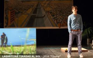 27 LAGARTIJAS TIRADAS AL SOL – 2016