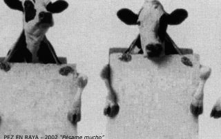 3 PEZ EN RAYA – 2002