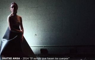 37_ IRATXE ANSA_ 2014