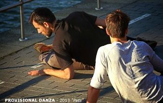 38_PROVISIONAL DANZA – 2013 Pets