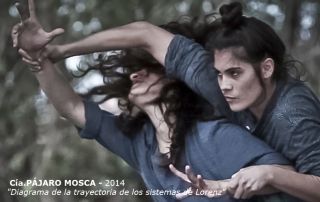 39_ PAJARO MOSCA 2014