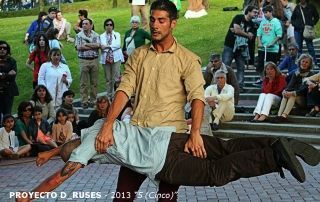 42_PROYECTO D_RUSES – 2013 5 (Cinco)