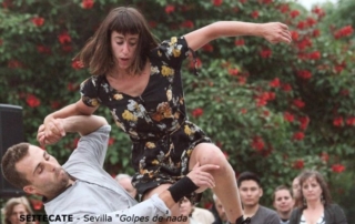 43_SEITECATE-Sevilla.2015-700×441