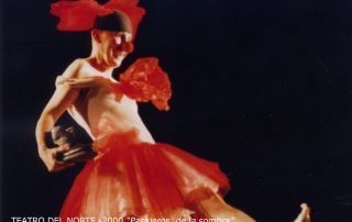 7 TEATRO DEL NORTE