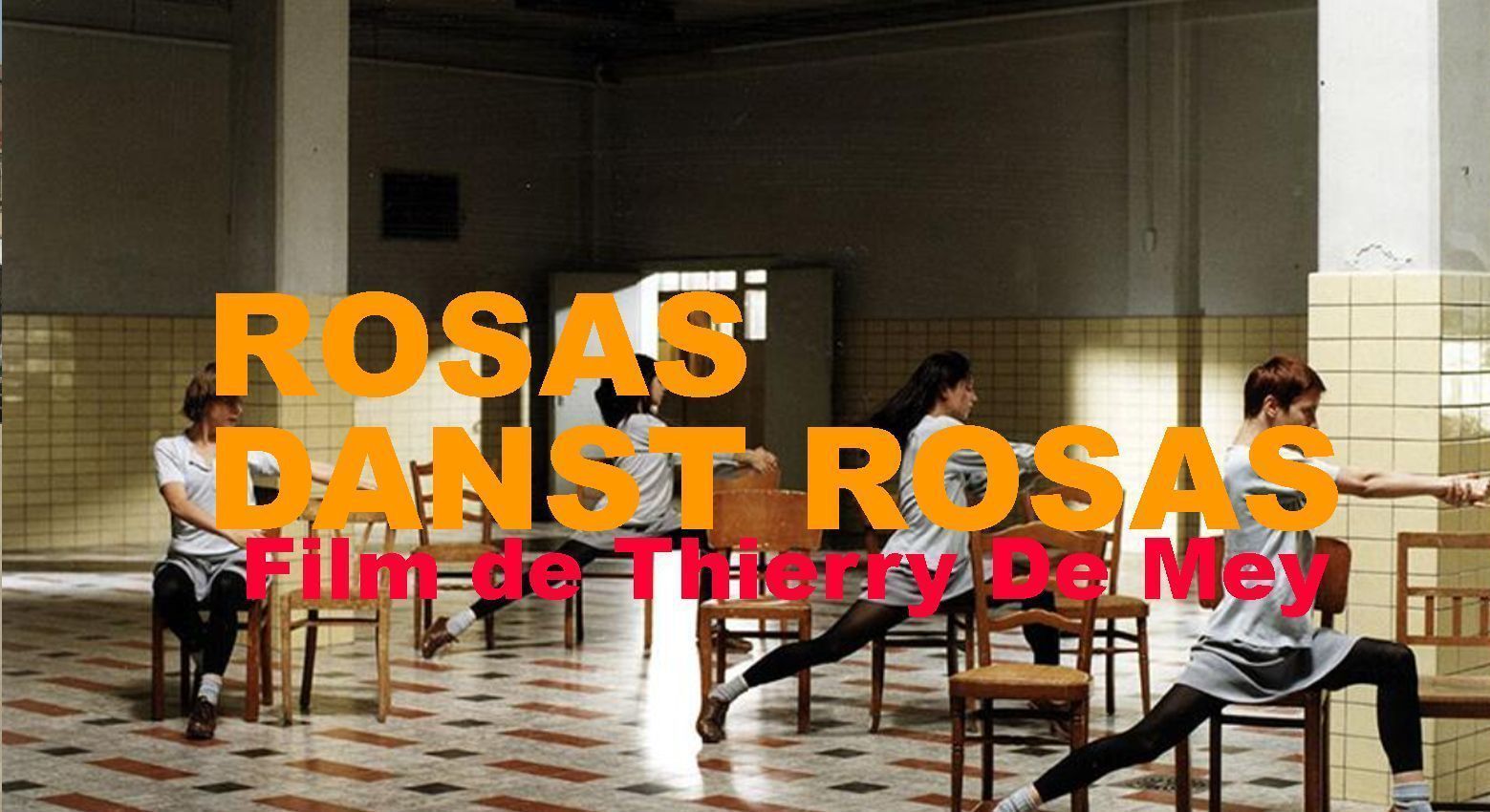 rosas_LekuzLeku20